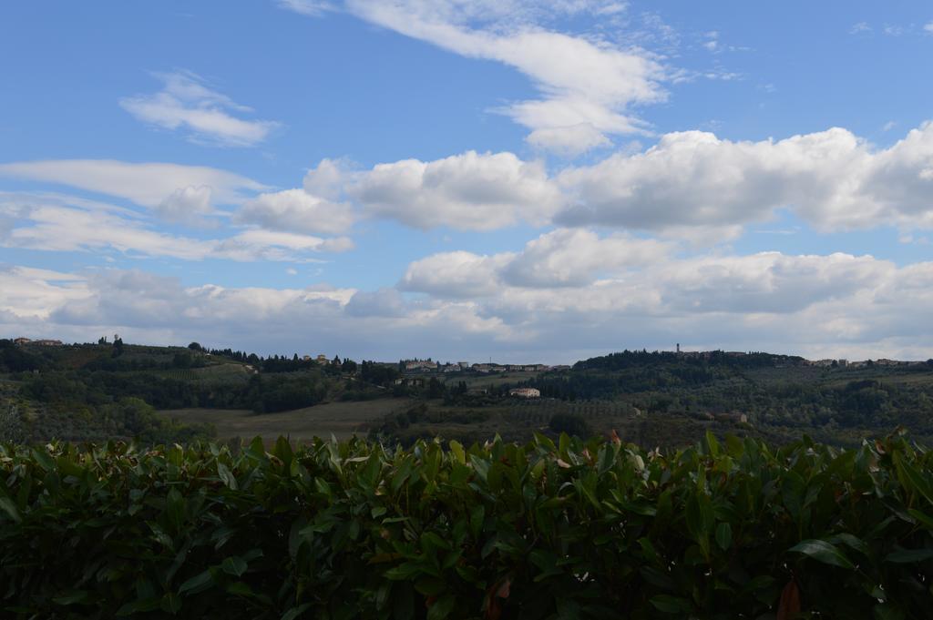 Апартаменты Oliveta Tavarnelle Val di Pesa Номер фото